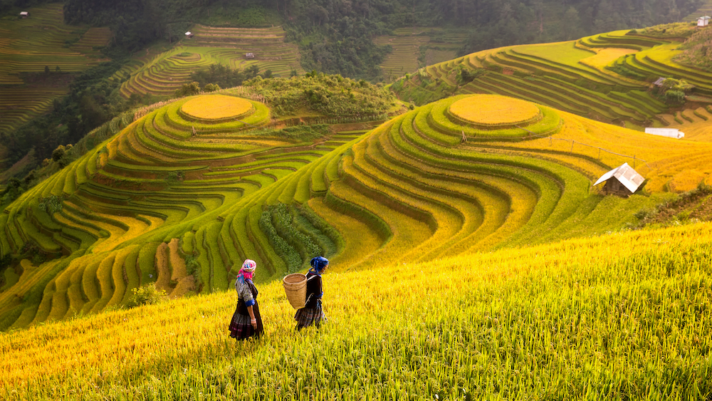 Hà Nội - Sapa